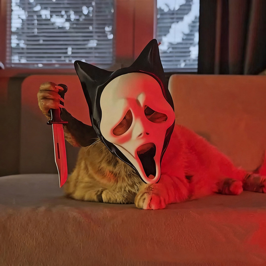 Fifaytech™ Halloween scary mask for cat
