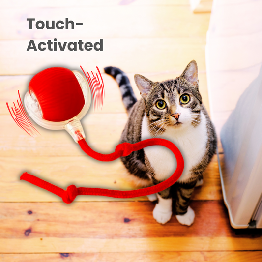 Fifaytech™ Interactive Pet Toy Ball