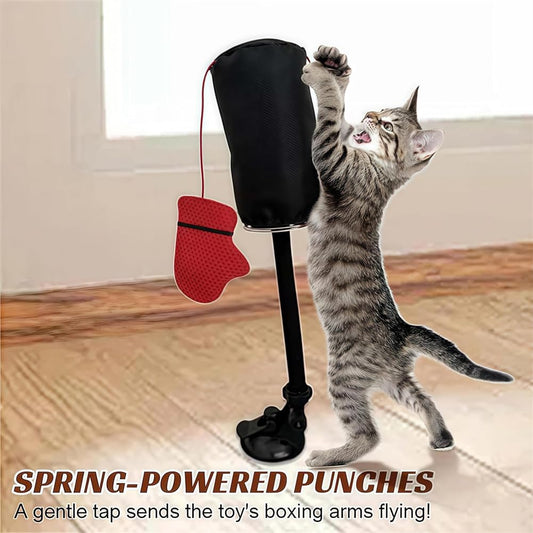 Fifaytech™ Cat Punching Bag Toy