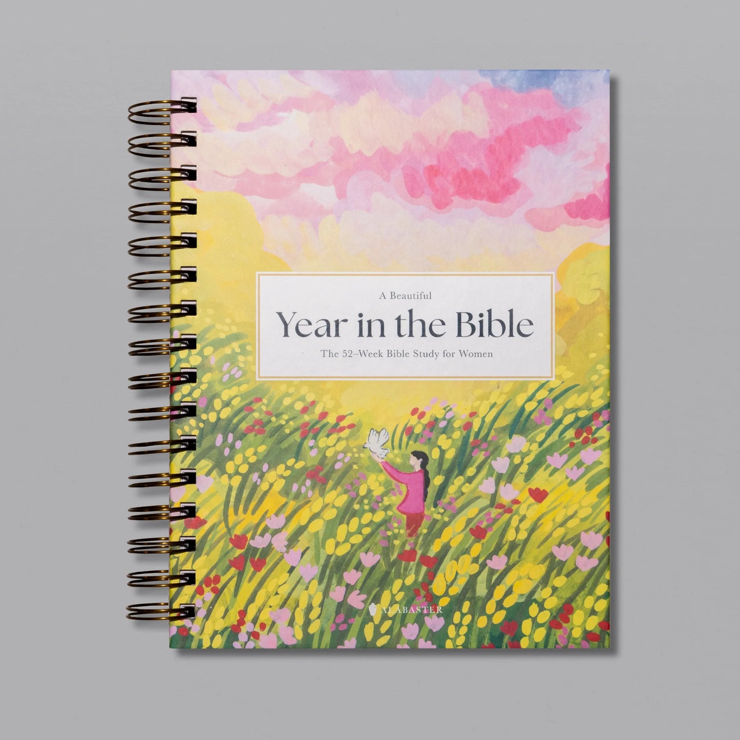 Fifaytech™ A Beautiful Year in the Bible: The 52-Week Bible Study for Women