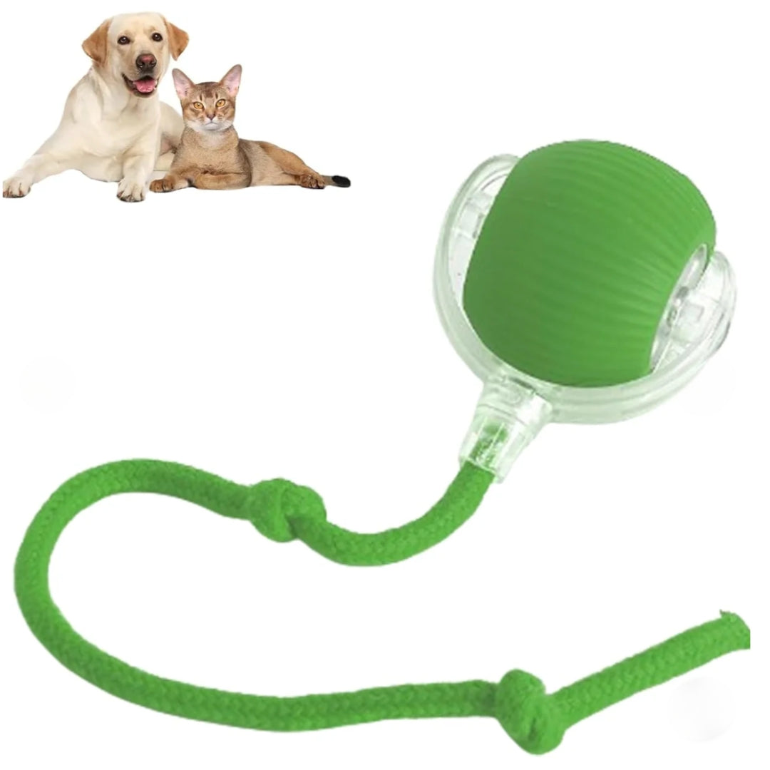 Fifaytech™ Interactive Pet Toy Ball