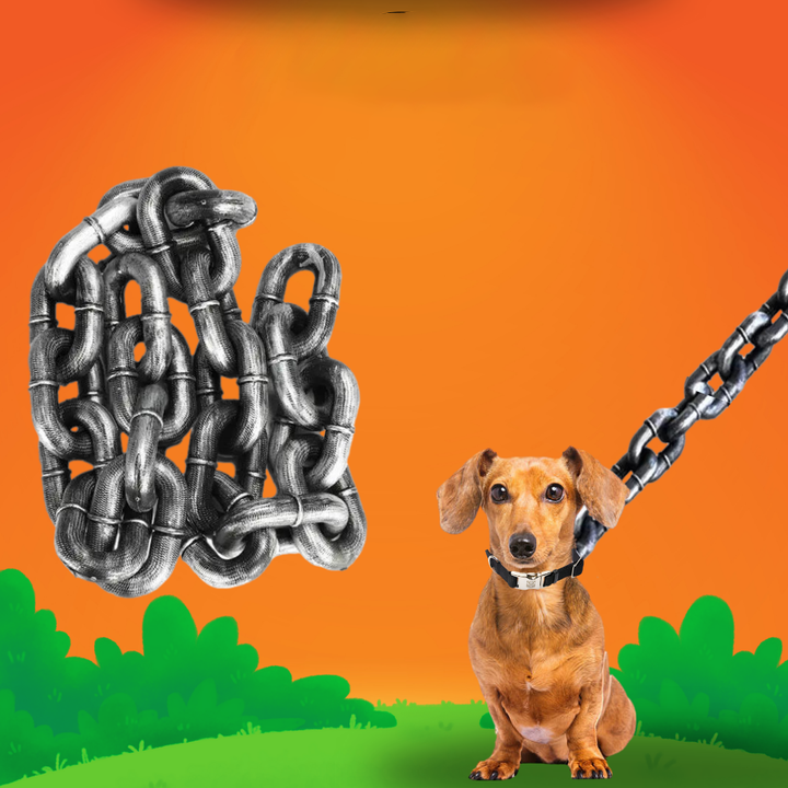 Fifaytech™ Exaggerated Pet Leash