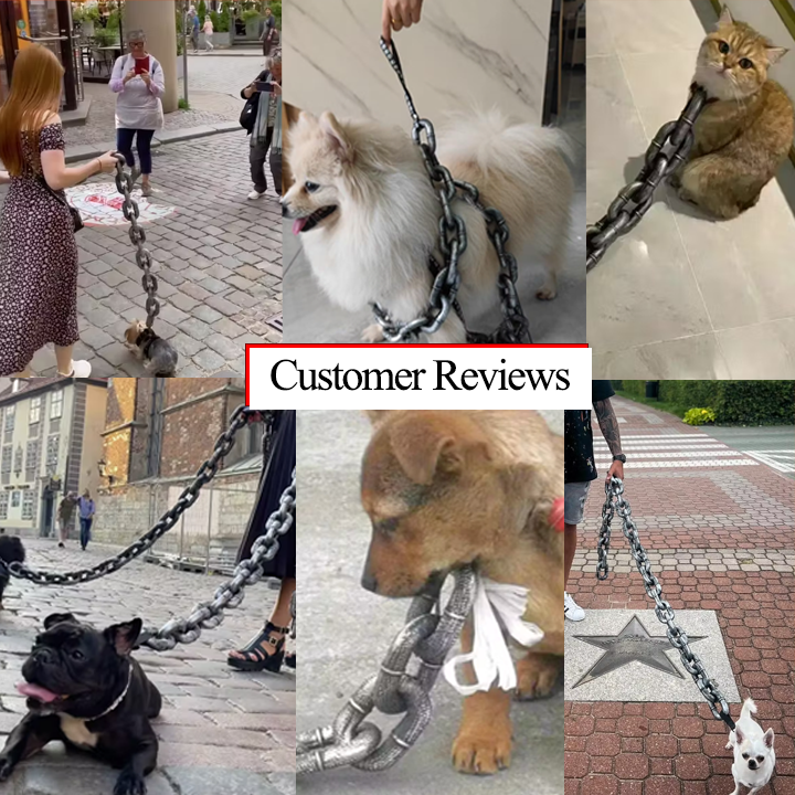 Fifaytech™ Exaggerated Pet Leash