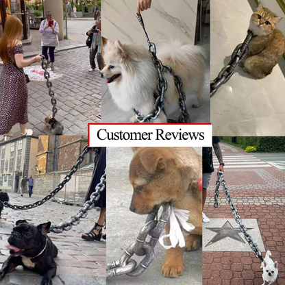 Fifaytech™ Exaggerated Pet Leash