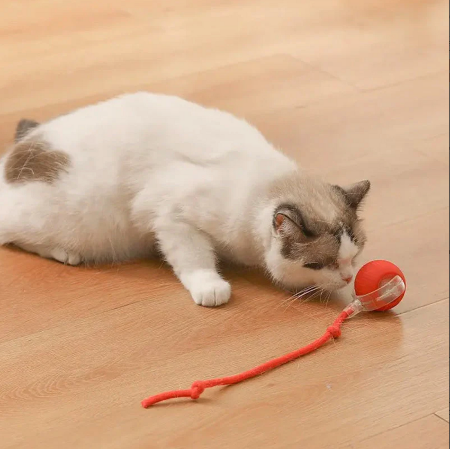 Fifaytech™ Interactive Pet Toy Ball