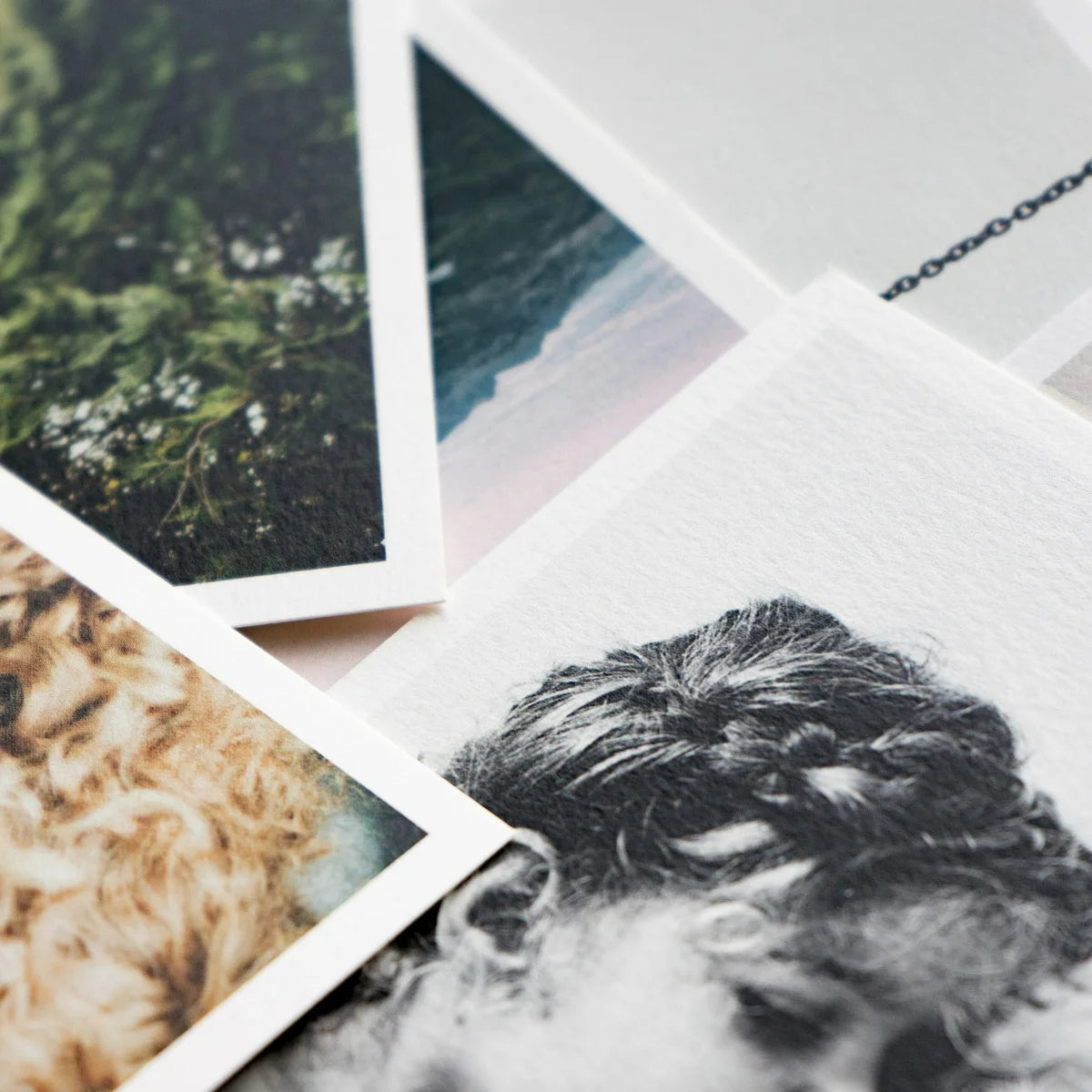 Square Photo Prints