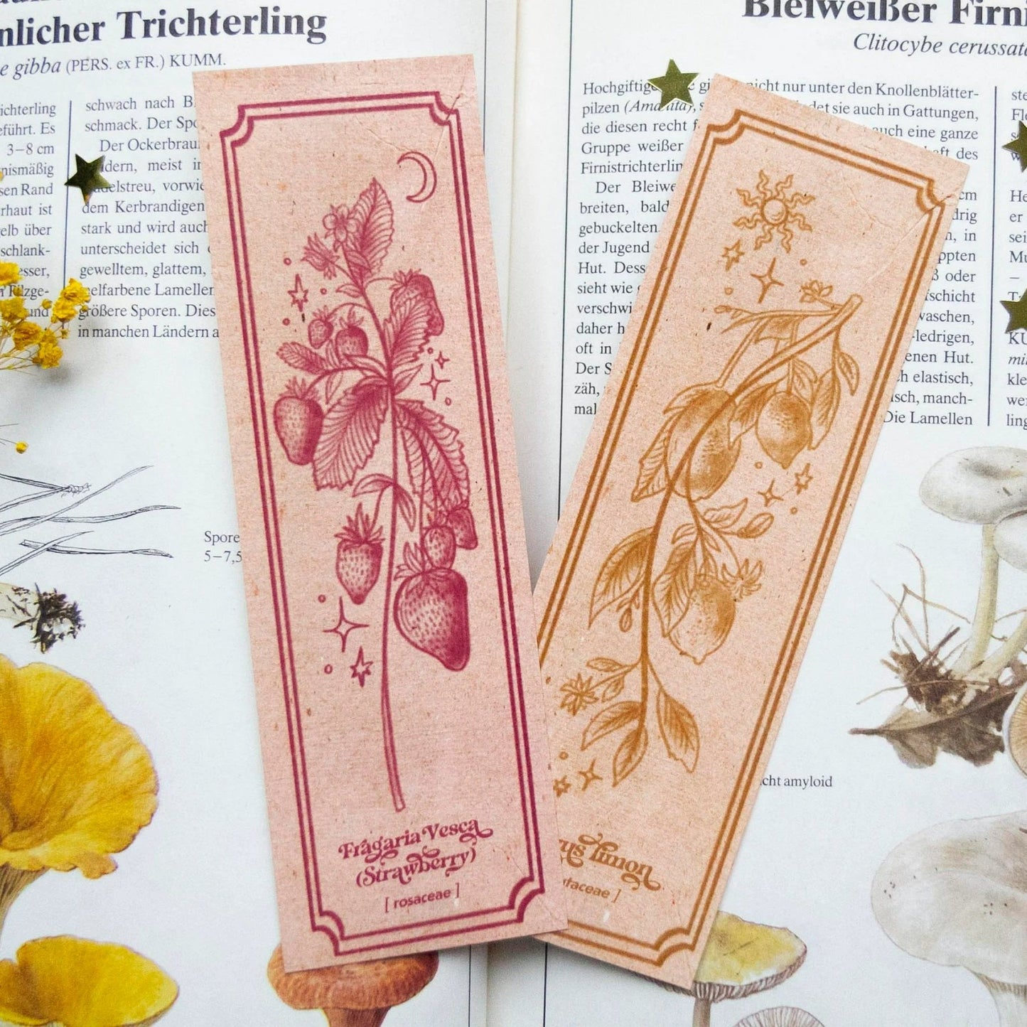 Fifaytech™ Botanical Illustration Bookmark