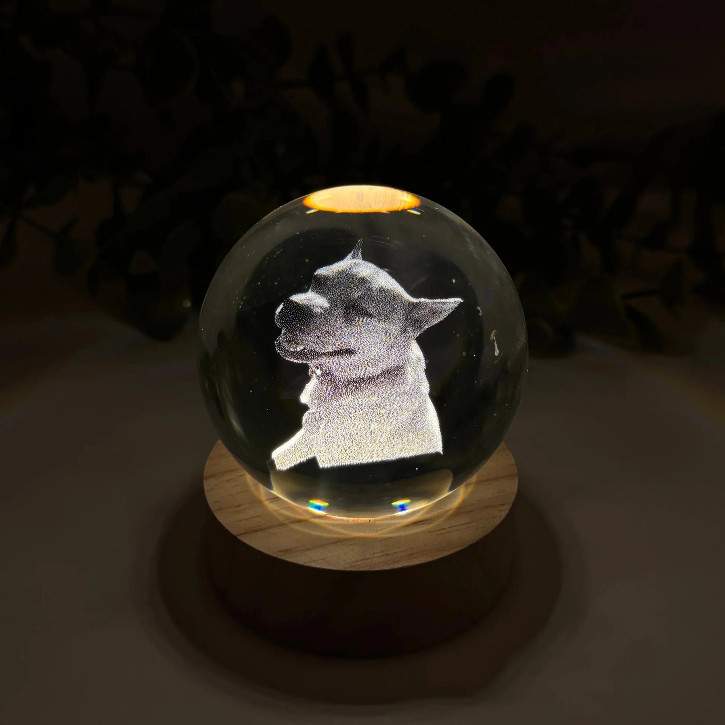 Fifaytech™ Pet Celestial Balls